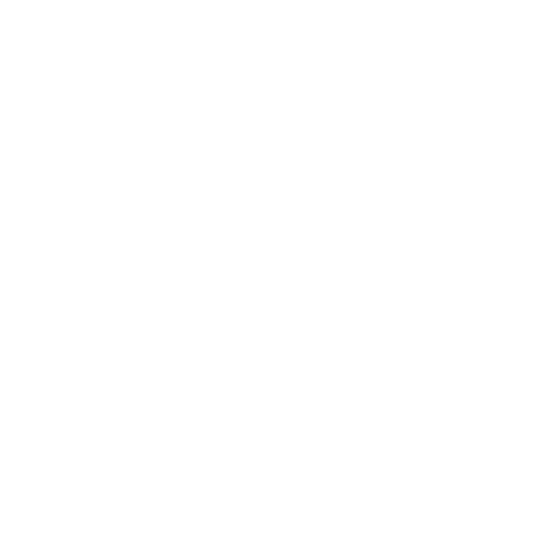 Pinto e' Gallo Arenal Fortuna